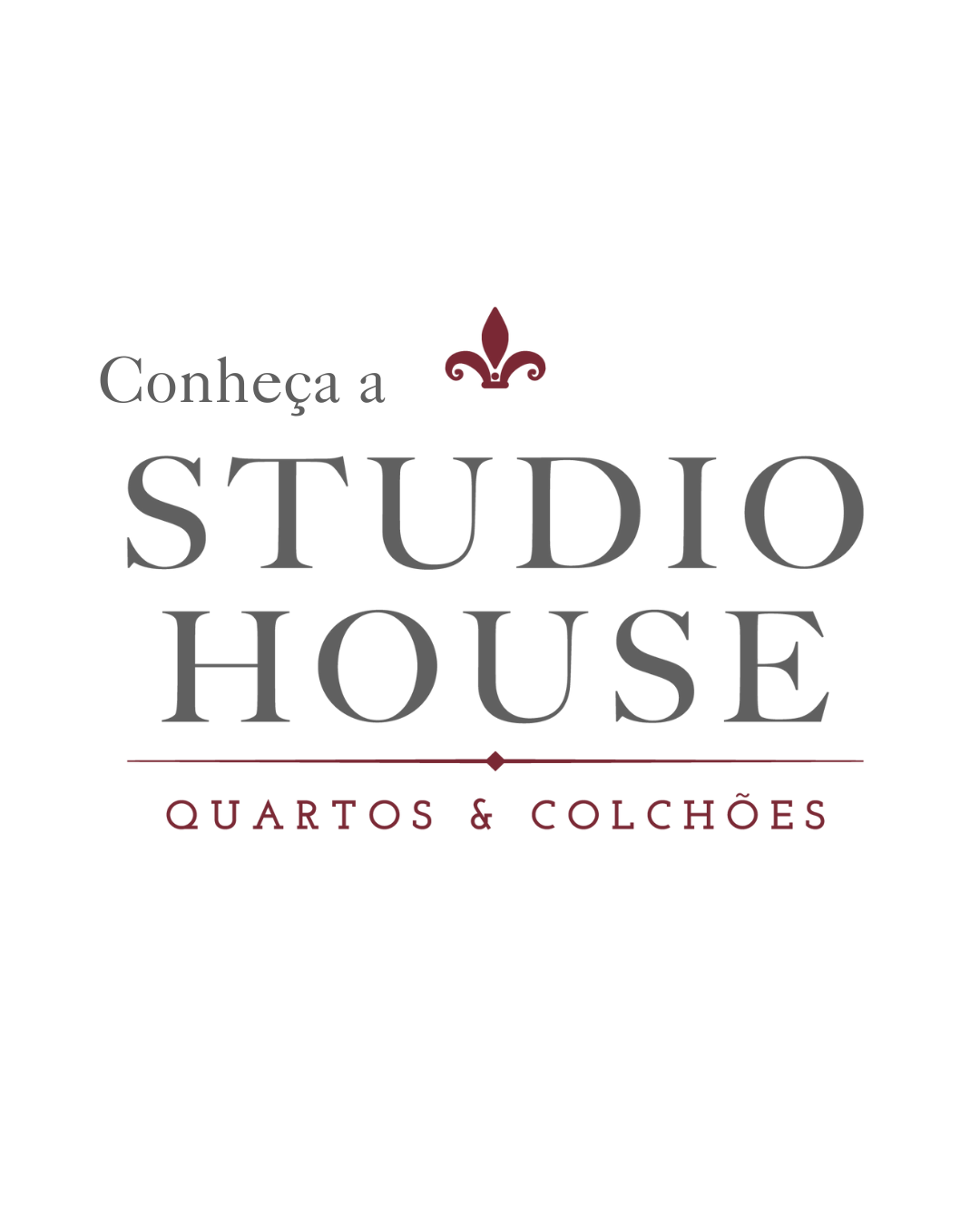 Studio House Feed